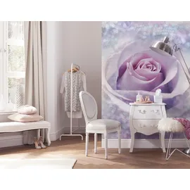 KOMAR Fototapete Vlies Delicate Rose 200 x 260 cm