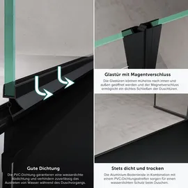 doporro Teramo66 Nischentür Drehtür 100 x 195 cm schwarz Klarglas