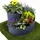 Jardinion Kräuterspirale 35 x 55 cm Grau