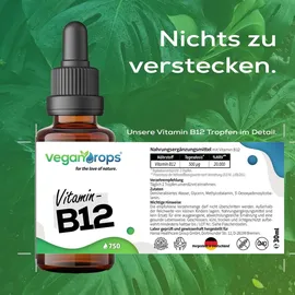vegan drops Vitamin B12 Tropfen 750 St.