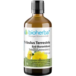 Tribulus Terrestris Erd-Burzeldorn Tropfen Tinktur 100 ml