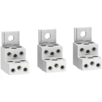 Schneider Electric LV429248 Klemme Grau 1St.