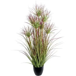 CREATIV green künstliche Pflanze Cyperngrasbusch,ca 95cm grünrot im Kunststofftopf schwarz 14x12,5cm