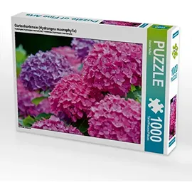 Calvendo Puzzle Gartenhortensie (Hydrangea macrophylla) 1000 Teile Lege-Größe 64x48cm Foto-Puzzle für glückliche Stunden