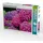 Calvendo Puzzle Gartenhortensie (Hydrangea macrophylla) 1000 Teile Lege-Größe 64x48cm Foto-Puzzle für glückliche Stunden