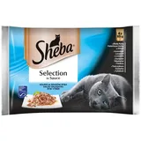Sheba Selection in Sauce mit Fisch 4x85g