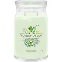 Yankee Candle Cucumber Mint Cooler Duftkerze 567 g grün