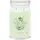Yankee Candle Cucumber Mint Cooler Duftkerze 567 g grün