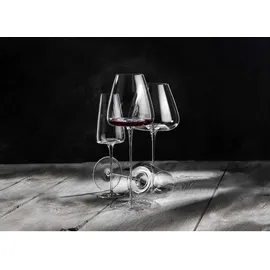 Zieher Vision Intense Rotweinglas 0,64 l 2er Set