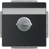 Busch-Jaeger Steckdoseneinsatz 20 EUKNBSL-885-101 Schwarz 1 St.