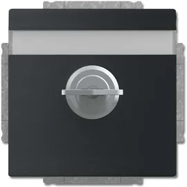 Busch-Jaeger Steckdoseneinsatz 20 EUKNBSL-885-101 Schwarz 1 St.