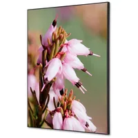 Showdown Displays Showdown Wanddekoration Set A2 Pinke Blume Erica