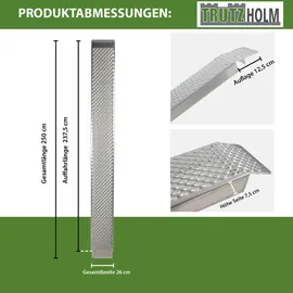 Trutzholm Auffahrrampe 500 kg