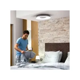 Philips Hue White Ambiance Still 22,5 W schwarz
