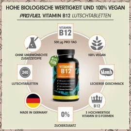 ProFuel Vitamin B12 Lutschtabletten 240 St.