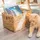 HMF Aufbewahrungskorb faltbar geflochten aus Wasserhyazinthe Seegras 36 x 28 x 20 cm beige