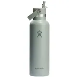 Hydro Flask Stardard Flex Straw 620ml Thermosflasche - Agave - One Size