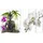 Hti-Living HTI-Line Paravent Buddha