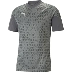 Puma Teamcup Training Jersey flat medium gray (13) M