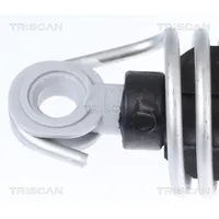 TRISCAN Gasfeder, Koffer-/Laderaum 8710 112015