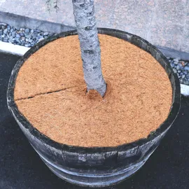 Aquagart Kokos Mulchscheiben 37 cm