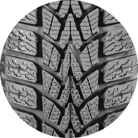 Dunlop SP Winter Response 2 185/65 R15 92T