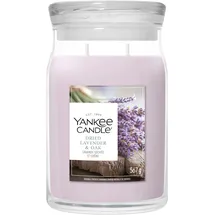 Yankee Candle Dried Lavender & Oak Duftkerze 567 g lila