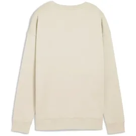 Puma Pullover Sweatshirt Alpine Snow M