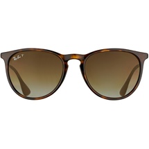 Ray Ban Erika RB4171 710/T5 54-18 tortoise-gunmetal/brown gradient