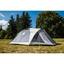 Coleman Darwin 3 Plus grau/grün