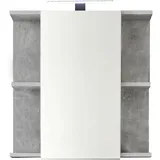 trendteam Spiegelschrank Nano 60 x 62 x 20 cm - 2 Jahre Gewährleistung - mind. 14 Tage Rückgaberecht - Grau