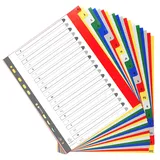 Exacompta Kunststoff-Register A-Z DIN A4+ 20-teilig