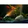 HEISSNER Smart Light 1 Watt