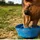 lyra horse 5 kg Lyra Horse® Apfel Leckerli in 30 L Tonne