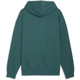 Puma Essentials Relaxed No.1 Logo Hoodie Grün S