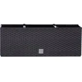 Prosperplast Rato Case 51,4 x 19 x 18,65 cm Anthrazit