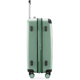 HAUPTSTADTKOFFER Spree 4-Rollen 65 cm / 61-74 l mint