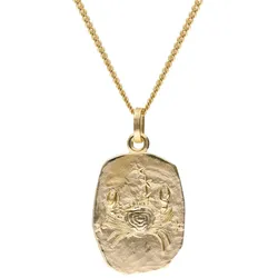 trendor 15404-07 Krebs Sternzeichen Gold 333 / 8K mit vergoldeter Silberkette, 50 cm
