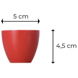 Thomas Sunny Day New Red Eierbecher