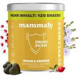 14-in-1 Immunsystem Leckerli für Hunde - Immu Push 120 Snacks (350g) von mammaly - Stärkt Abwehrkräfte mit Hagebutte, Granatapfel, Ashwagandha, Bierhefe,Zink - Reich an Antioxidantien, Vitamin A, C, K