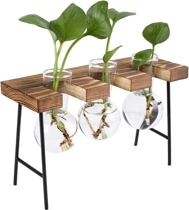 Senhoglb TQVAI Luftpflanzenhalter, Neujahrssale, Top-Geschenkideen
