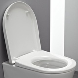 Laufen Pro WC-Sitz mit Deckel für offene Befestigung, H8919513000031