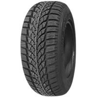 Diplomat WINTER HP 225/45 R17 94V MFS BSW