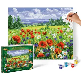 Schipper 609130824 - Malen nach Zahlen, Blumenwiese, 40 x 50 cm