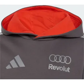 adidas PERFORMANCE Sportsweatshirt AudiRevolutF1Team grau / hellgrau 128xNormalgrößen