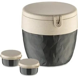 Bentobox Organic Nature Lunchbox L aschgrau