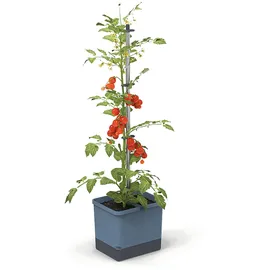 Gusta Garden Tom Tomato Pflanztopf 28 x 35 cm Blau