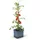 Gusta Garden Tom Tomato Pflanztopf 28 x 35 cm Blau