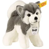 Steiff Bernie Husky