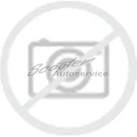 Westlake Z-401 225/65R17 106H